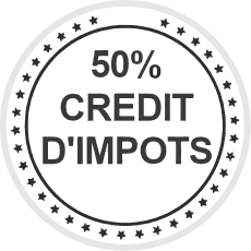 badge 50 percentage solid